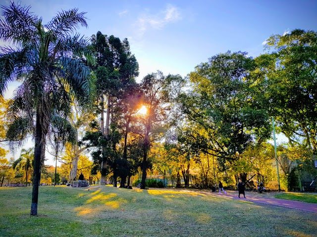 Parque Saavedra